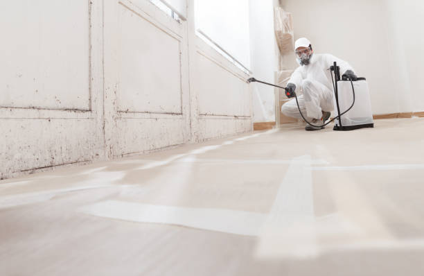 24/7 Emergency Mold Remediation experts in Broomall, PA