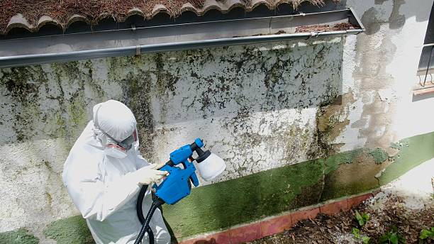 Top rated local Mold Remediation specialists in Broomall, PA